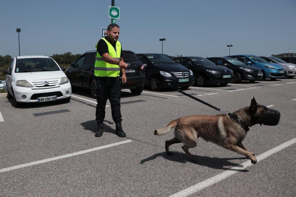 Un agent de sécurité cynophile accompagné de son chien