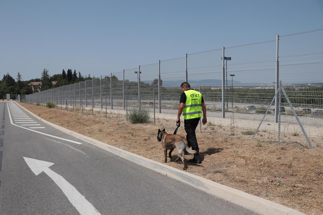 Un agent de sécurité cynophile en train de réaliser une ronde avec son chien.